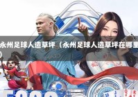 永州足球人造草坪（永州足球人造草坪在哪里）