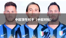 中超顶牛对手（中超对标）