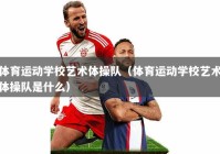 体育运动学校艺术体操队（体育运动学校艺术体操队是什么）