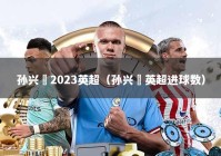 孙兴慜2023英超（孙兴慜英超进球数）