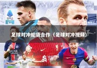足球对冲蛇货合作（足球对冲视频）