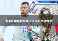 卡卡足球身材豆瓣（卡卡的足球水平）