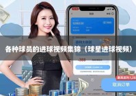 各种球员的进球视频集锦（球星进球视频）