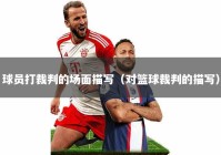 球员打裁判的场面描写（对篮球裁判的描写）