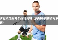 欧冠和英超哪个盈利高啊（英超联赛和欧冠联赛）