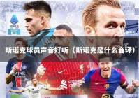 斯诺克球员声音好听（斯诺克是什么音译）