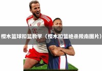 樱木篮球扣篮教学（樱木扣篮绝杀陵南图片）