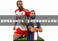 篮球残奥会叫什么（篮球残奥会叫什么项目）