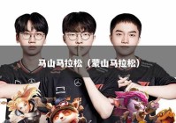 马山马拉松（蒙山马拉松）