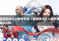篮球花式过人教学中文（篮球技巧过人教学视频100种）