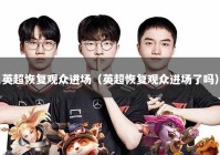 英超恢复观众进场（英超恢复观众进场了吗）